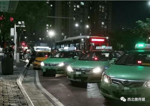 哈尔滨租车最新爆料消息,探秘冰城出行新选择！  第3张